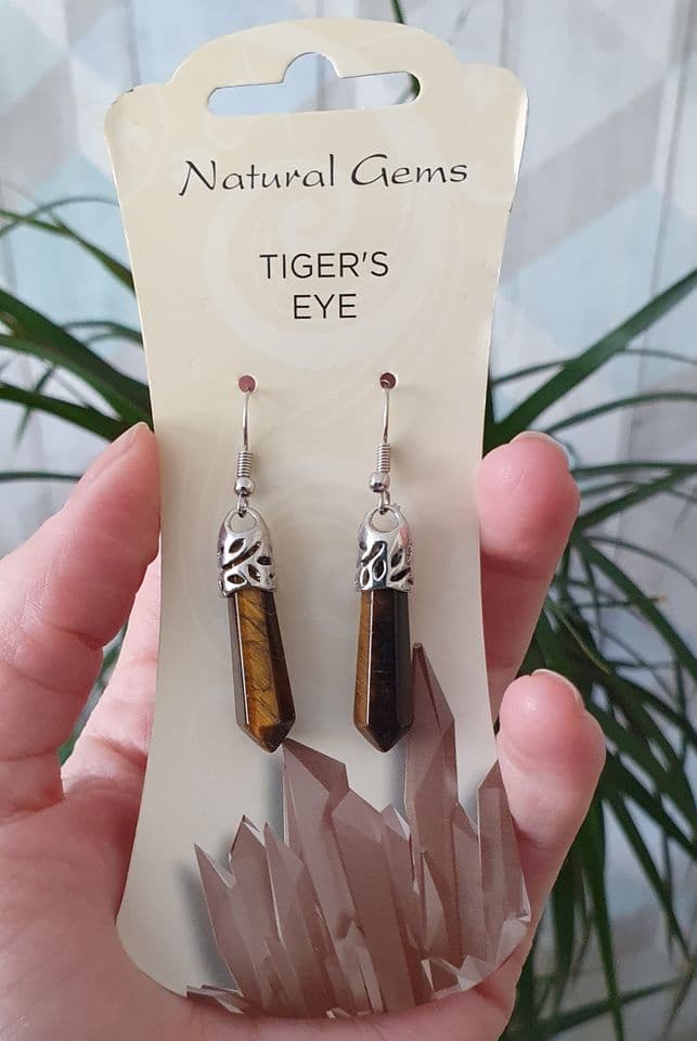 "Tiger's Eye Point Earrings"