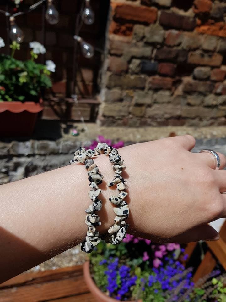 Dalmation Jasper Chip Bracelet