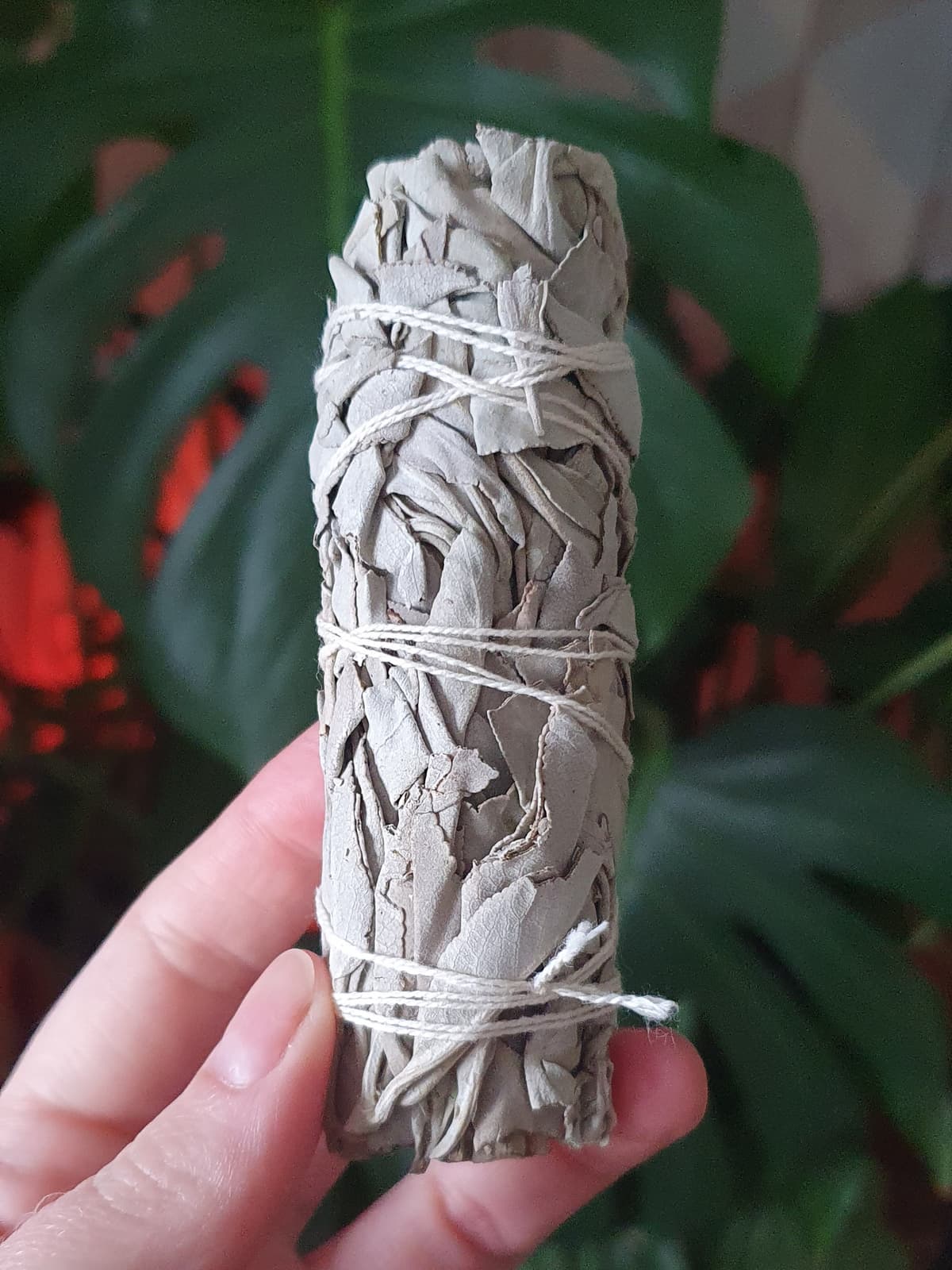 California White Sage Smudge Bundle