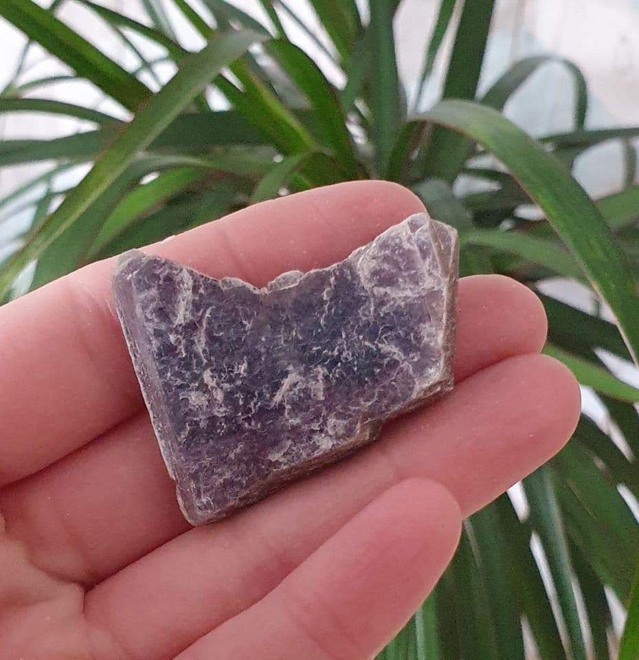 Lepidolite Rough Specimen